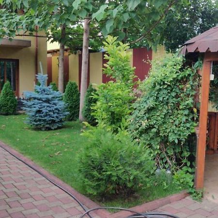 Appartement Cazare Buzău Extérieur photo