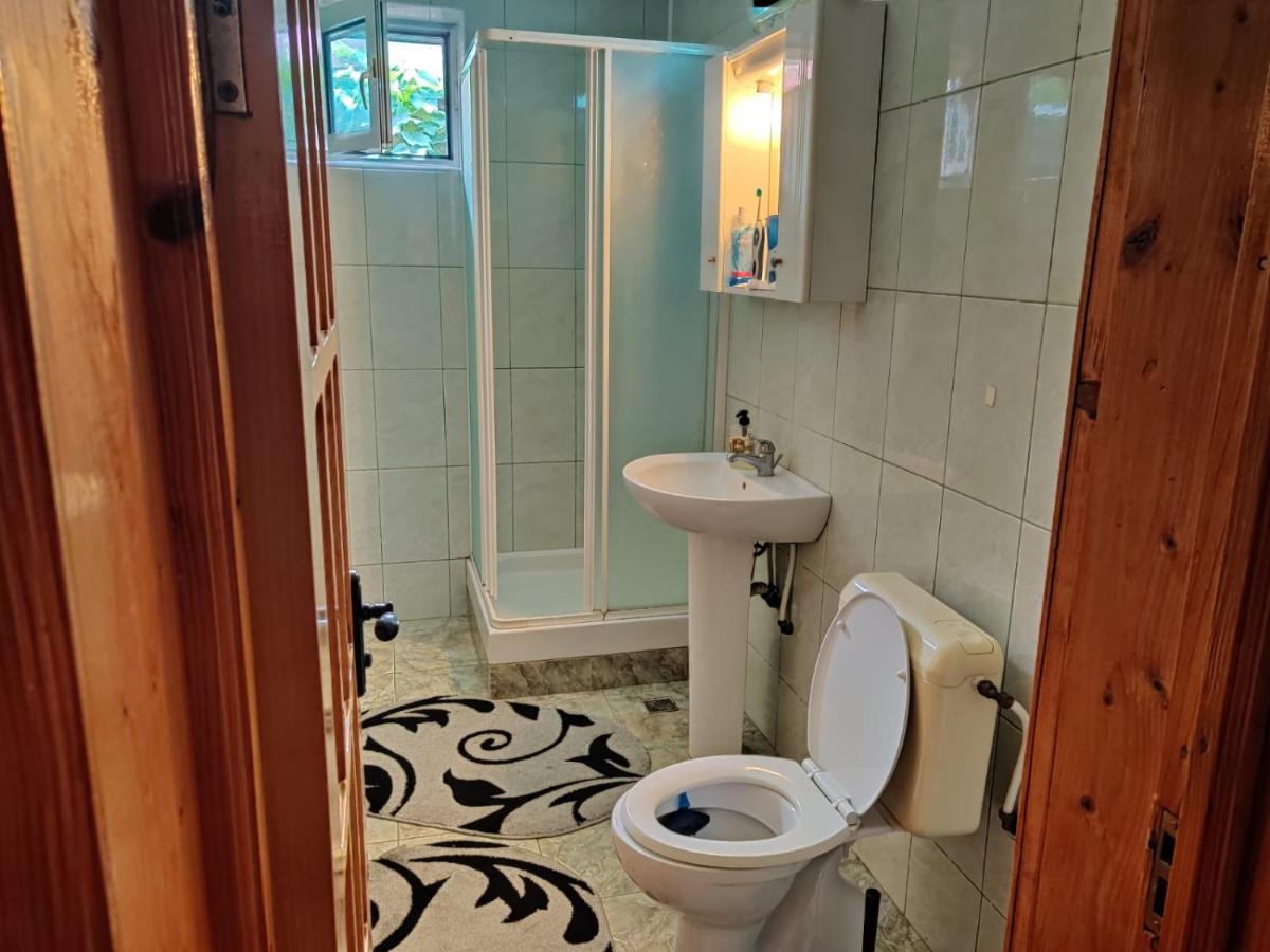 Appartement Cazare Buzău Extérieur photo